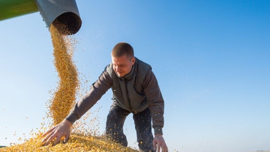 Okrenuli se uzgoju kultura iz kojih se dobiva etanol