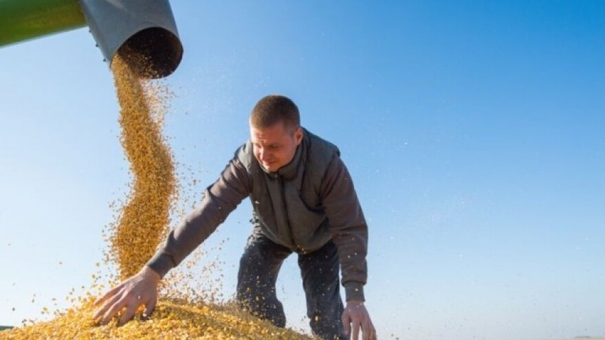 Okrenuli se uzgoju kultura iz kojih se dobiva etanol