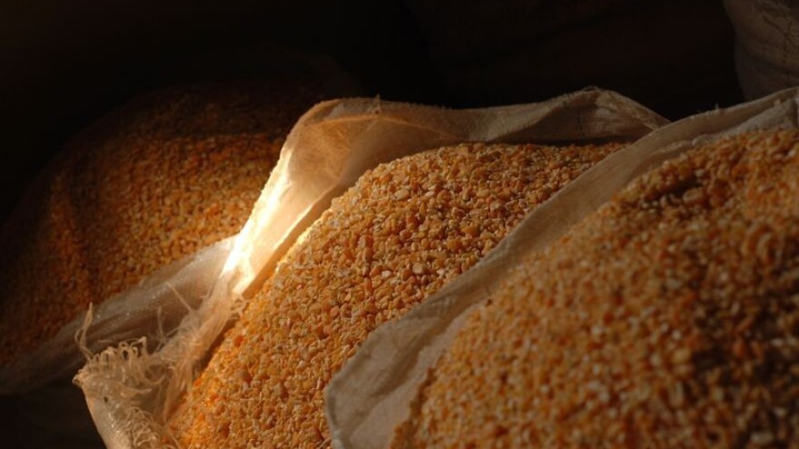 Monsanto samostalno povlači 4 GMO sjemena