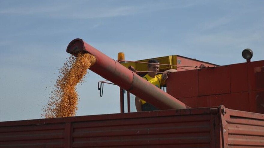 Podrinje i dalje ostaje stabilan proizvođač kukuruza u Srbiji