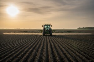 Kukuruz prije nicanja zaštitite od korova