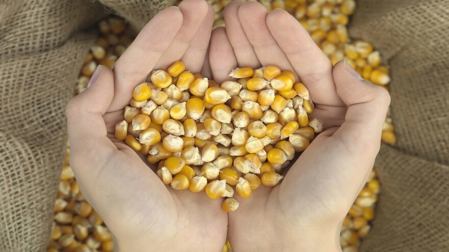 Pad cena smanjio promet na berzi žitarica