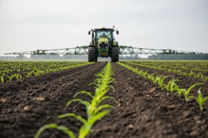 Kukuruz se štiti prije i nakon nicanja