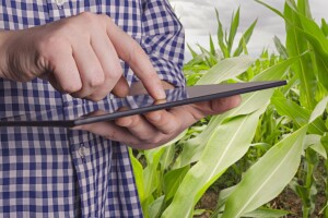 Sa SMART kalkulatorom odredite optimalni sklop za sjetvu kukuruza