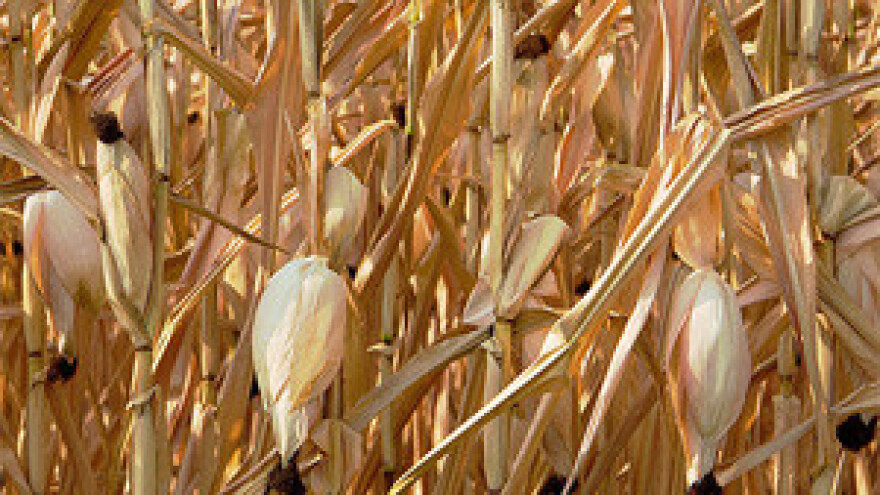 Najveći gubici osiguravatelja ikad