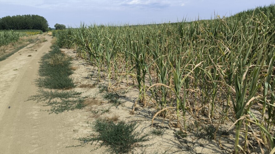 Rast temperatura do vikenda, a onda - osvježenje
