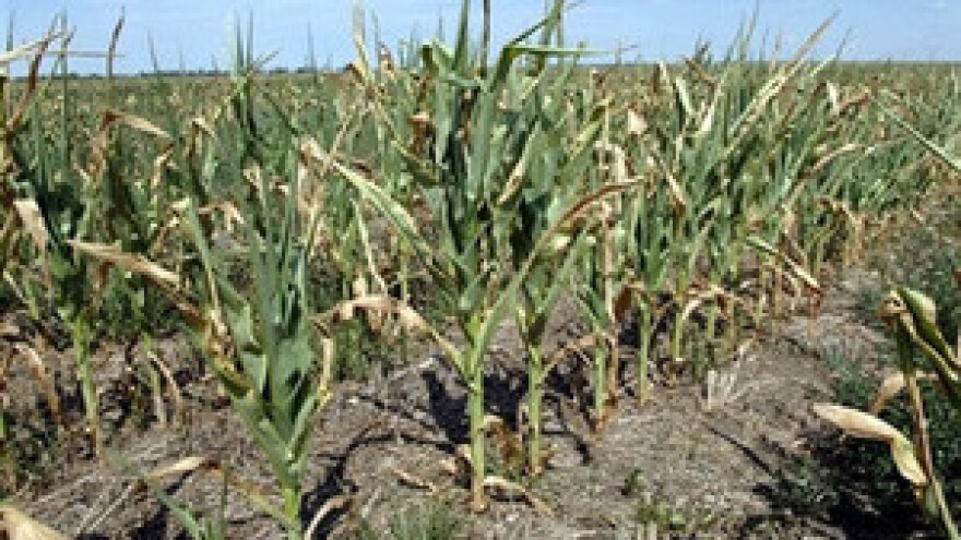 Klimatske promjene nisu naklonjene poljoprivredi