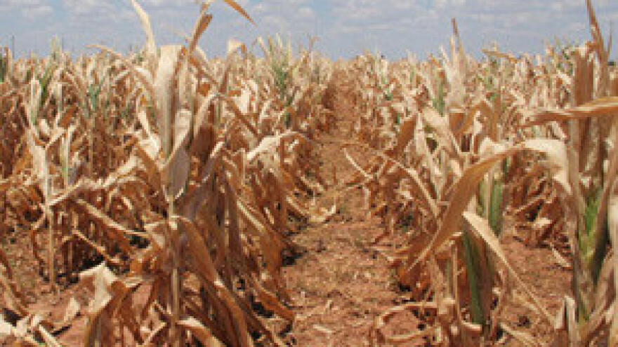 Poljoprivrednici od Vlade traže 500 milijuna kuna odštete