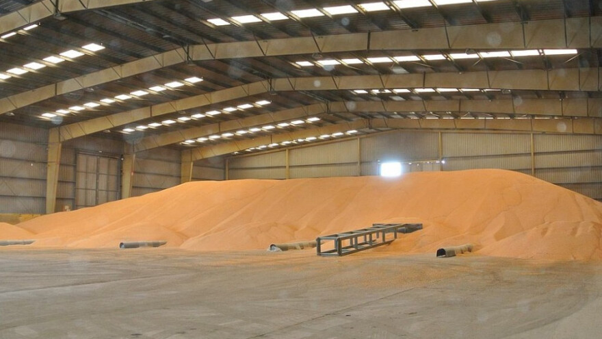 Cijena kukuruza u studenom dosegla minimum!