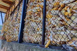 Od kotarke do koša - kako se zove objekat za čuvanje kukuruza?