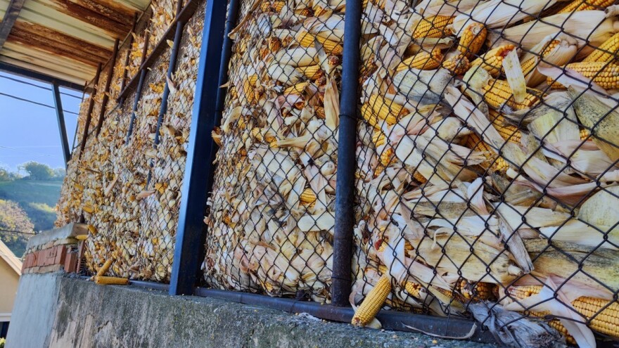 U Banatu kotarka, u Sremu kotobanja, a sada prošlost?