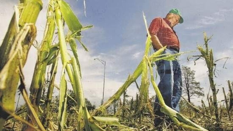 Kreditori sjetve snosit će rizik proizvodnje?