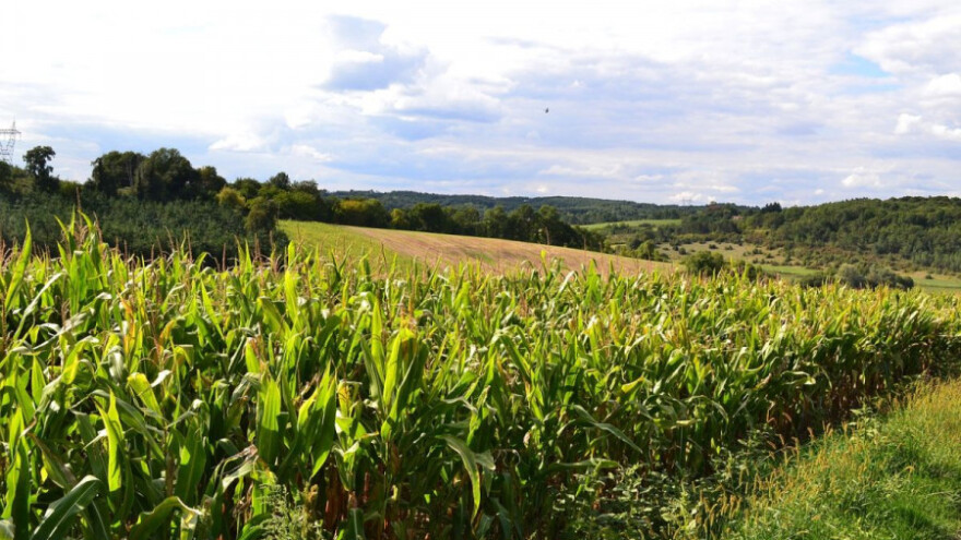 Vrijeme nepovoljno za stanje usjeva