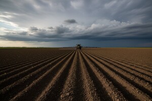 Kukuruz zaštitite nakon sjetve, a prije nicanja