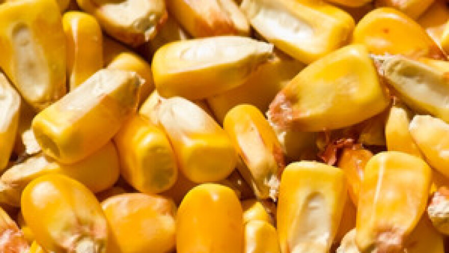 Odluka o obnavljanju strateških zaliha kukuruza