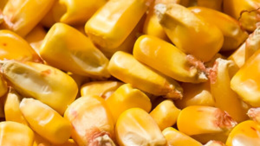 Proizvođači šećera i stočne hrane protiv carina na žitarice