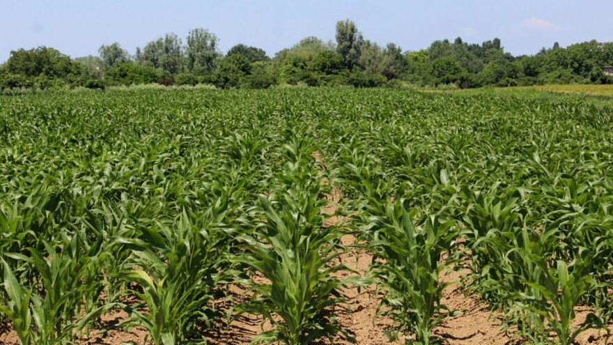 Zbog novih mjera i povećanja potpora produljen rok za zaprimanje jedinstvenih zahtjeva