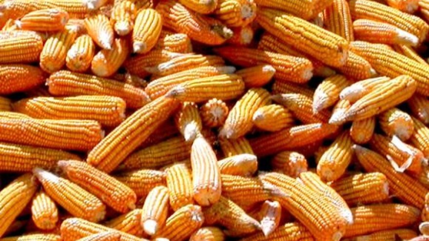 Cijene i dalje u padu