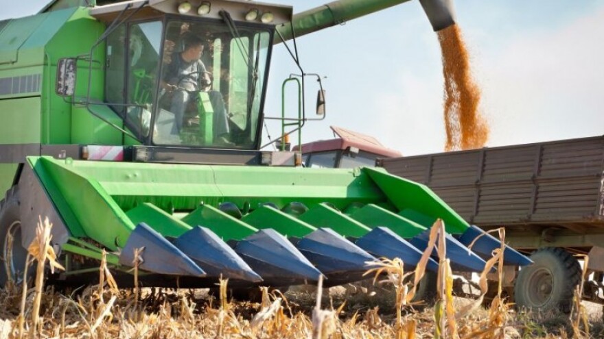 Zbog povijesnog uroda skliske cijene uljarica!