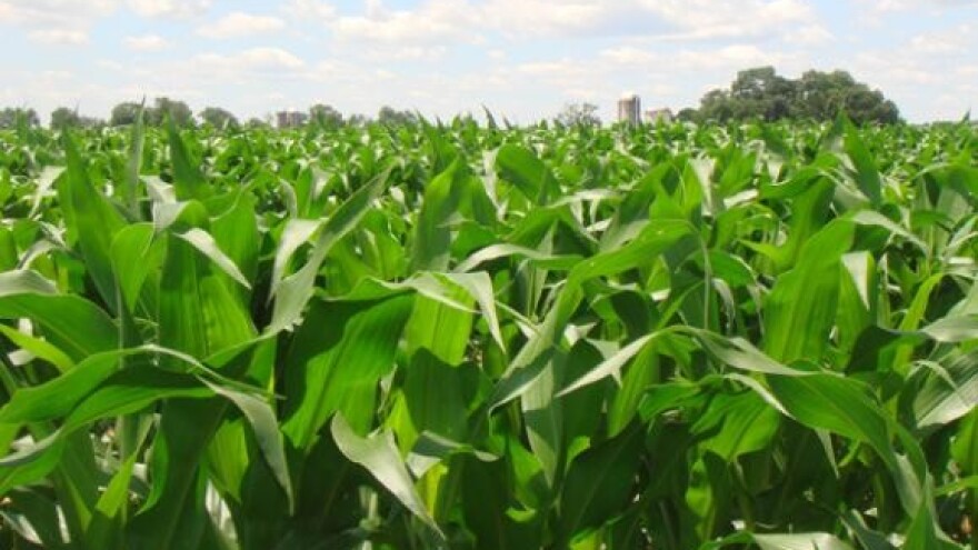 Najbolje hektare prodati seljacima a ne bogatim strancima