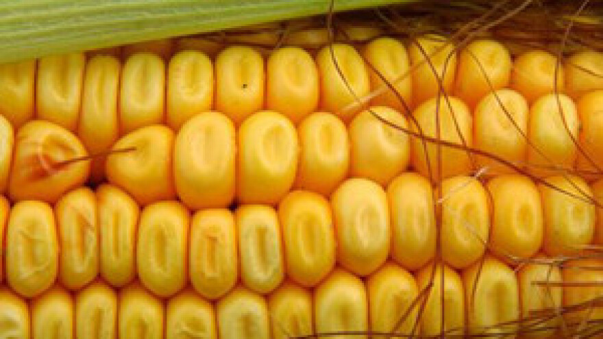 Monsanto: Kvartalni gubitak 229 mil. dolara