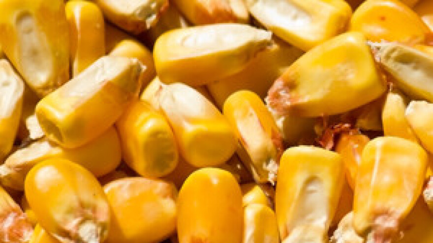 Porastao otkup i prodaja poljoprivrednih proizvoda