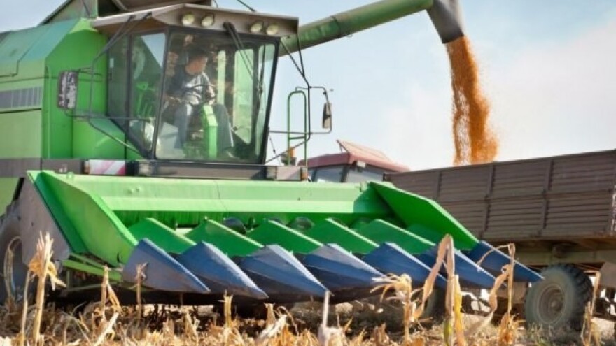 Zbog istorijskog uroda klizave cene uljarica