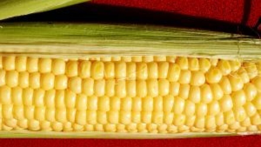 Monsanto utrostručio dobit