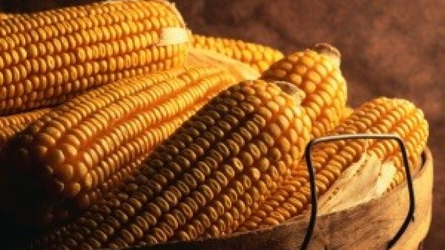 Integrirana proizvodnja ratarskih kultura za 2013. godinu