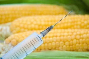 Monsanto GMO sjemenom potukao farmere