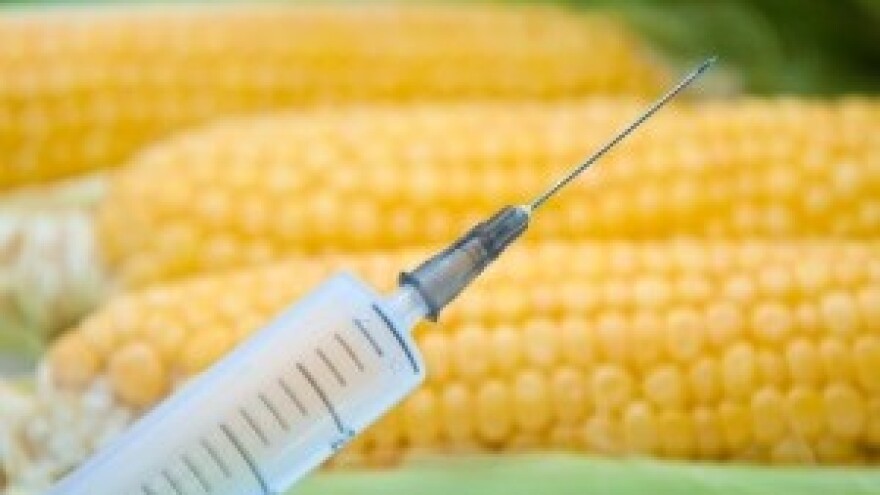 Monsanto GMO sjemenom potukao farmere