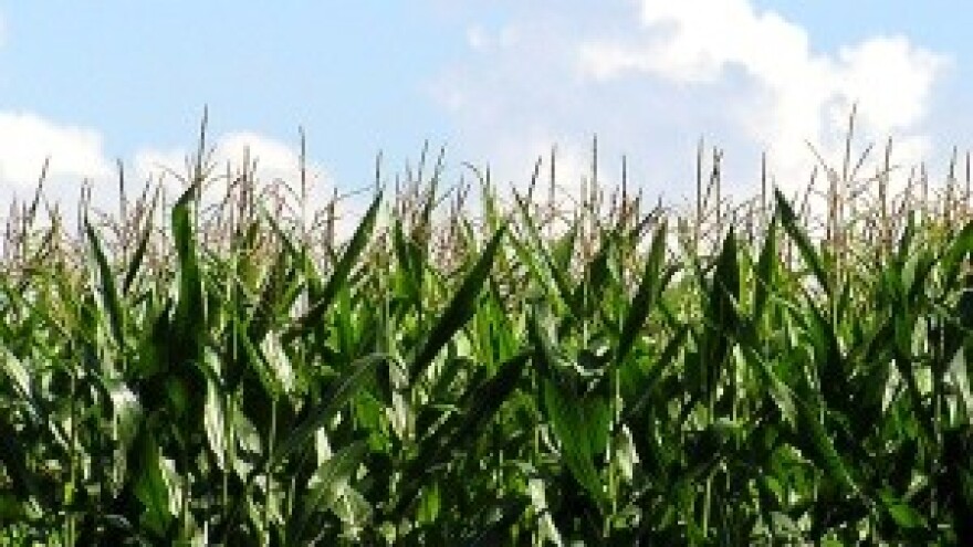 Poljoprivrednici zbunjeni zbog izjava Jakovine i Linića