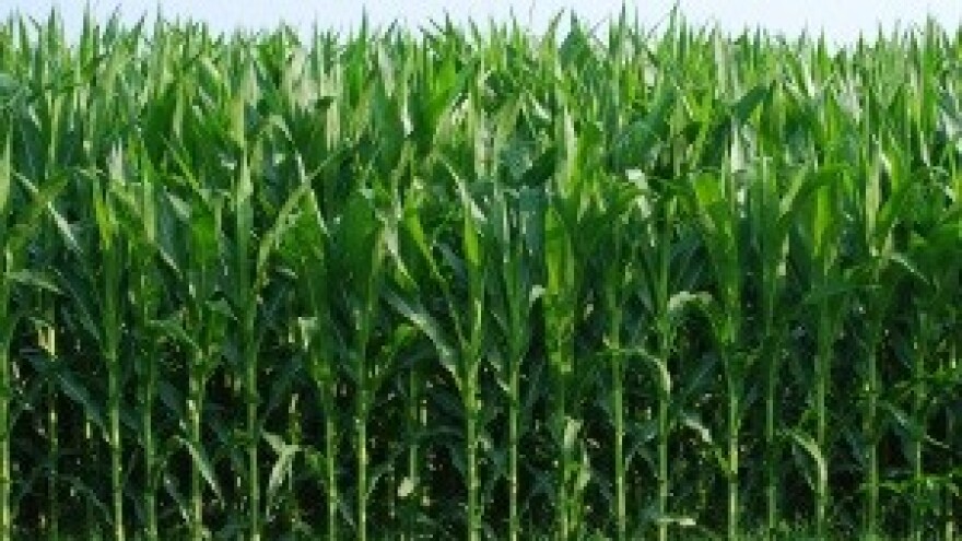 Zašto ministar Jakovina daje lažna obećanja?