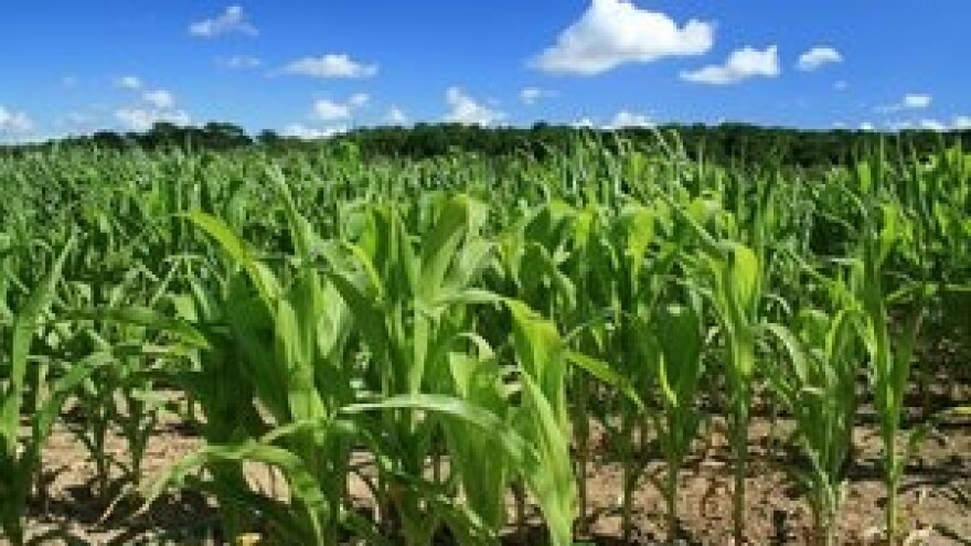 Završena Bayerova nagradna anketa