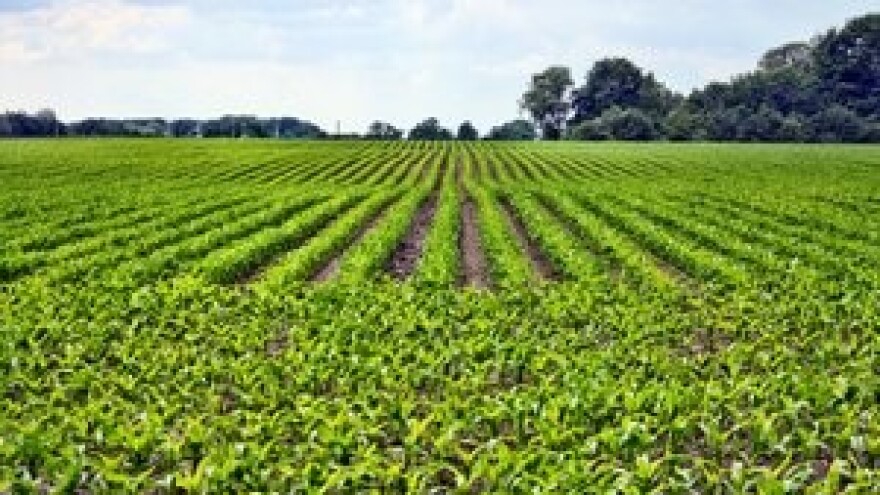 Nužnost zaštite usjeva