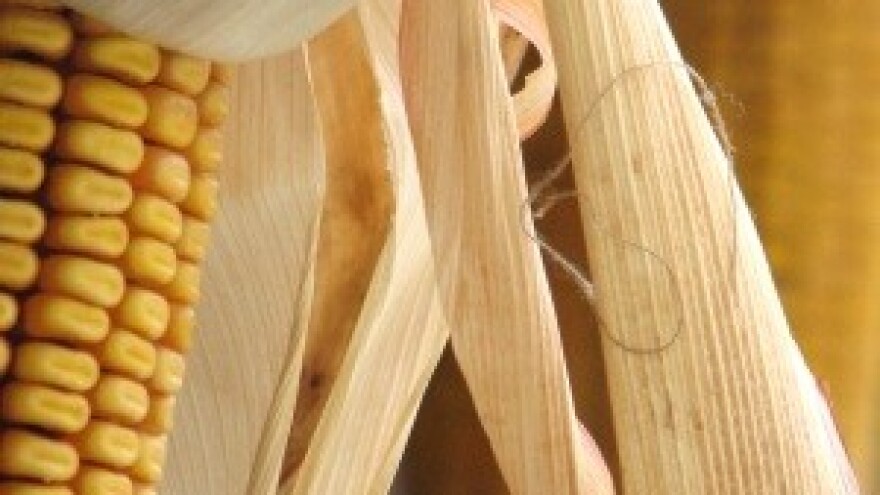 Jesu li štete doista velike ili samo napuhane?