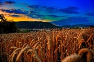 Cijene sredstava za zaštitu bilja nakon ulaska u EU