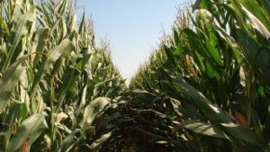 Schaumann poklanja za jubilarnih 75 godina postojanja