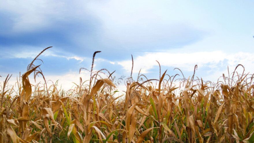 Grad i suše za sobom ostavili milijunske štete