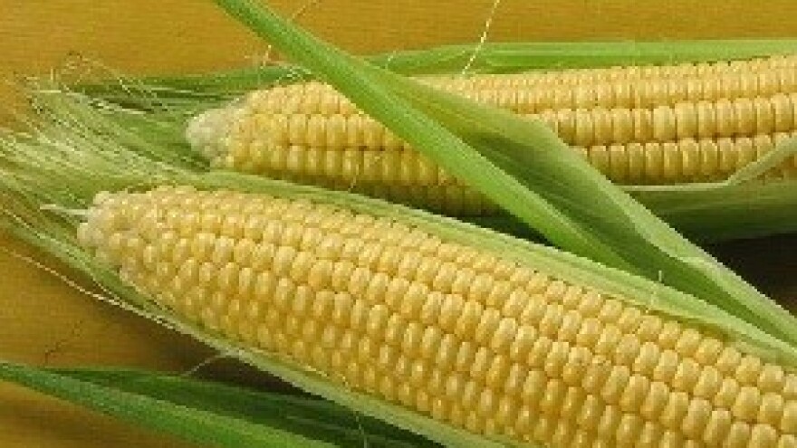 Agro Zemlja će ugostiti 300 izlagača