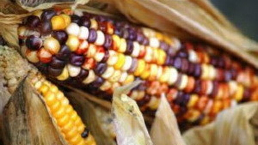 GMO - uvjet ulaska Srbije i BiH u EU