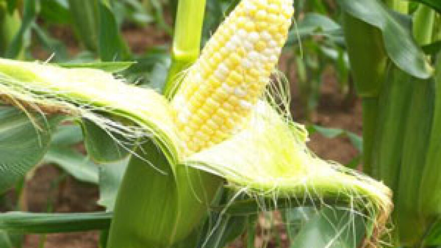 Poljoprivrednici ne vjeruju u energanu