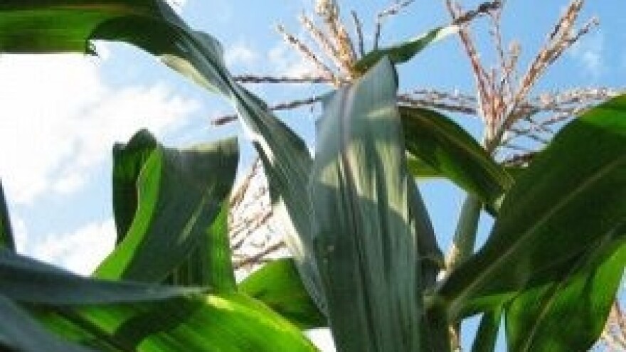 Prijave za stručni nadzor u integriranoj proizvodnji