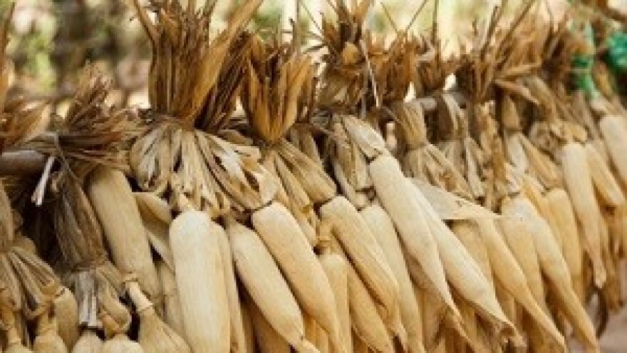 Možemo li spasiti hrvatski proizvod?