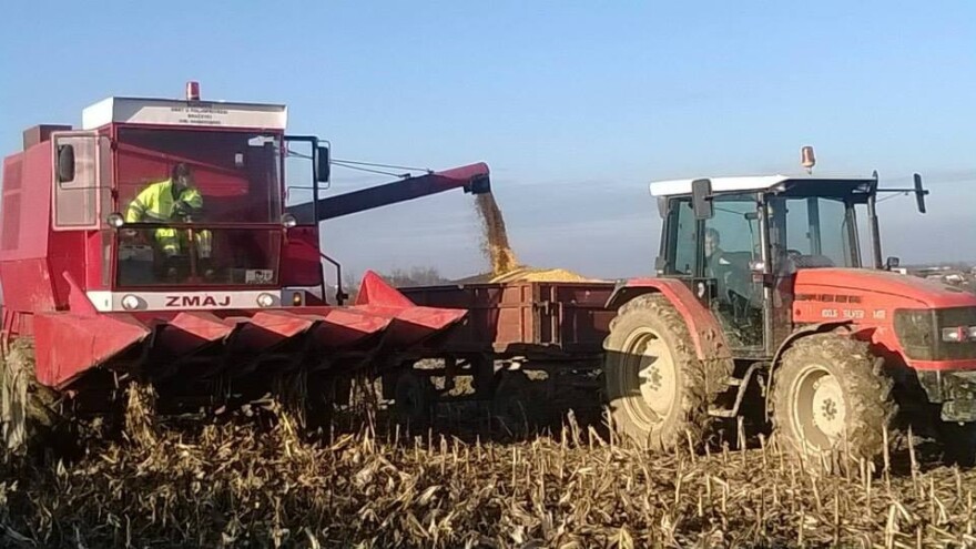 Ključ prehrambene samodostatnosti mora biti OPG