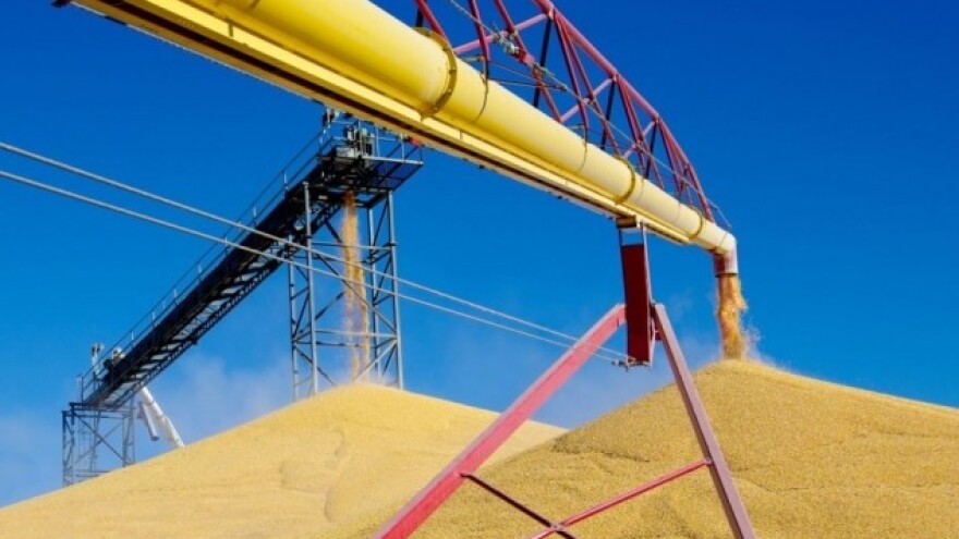 Je li kukuruz pobjednik sezone 2016/2017?