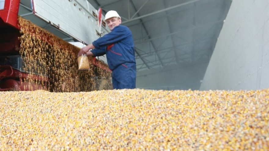 Otkupljuju kukuruz i soju - osnažuju domaće farmere