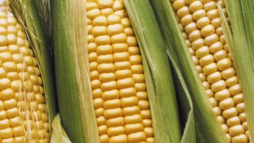 Mogući novi prosvjedi