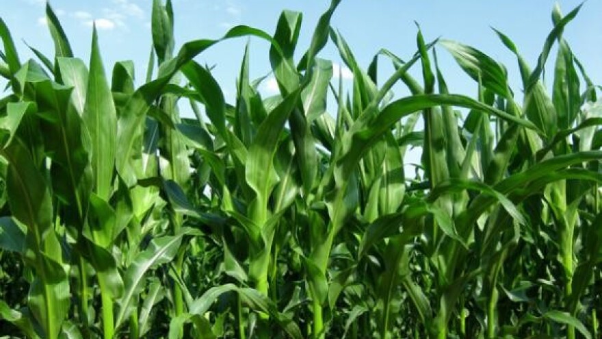 Sufinanciranje premije osiguranja usjeva