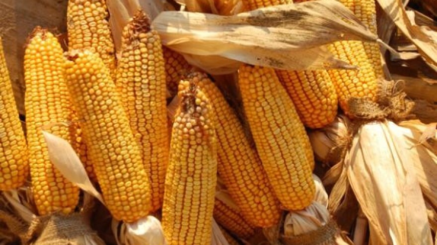 Novci iz IPARD-a na raspolaganju